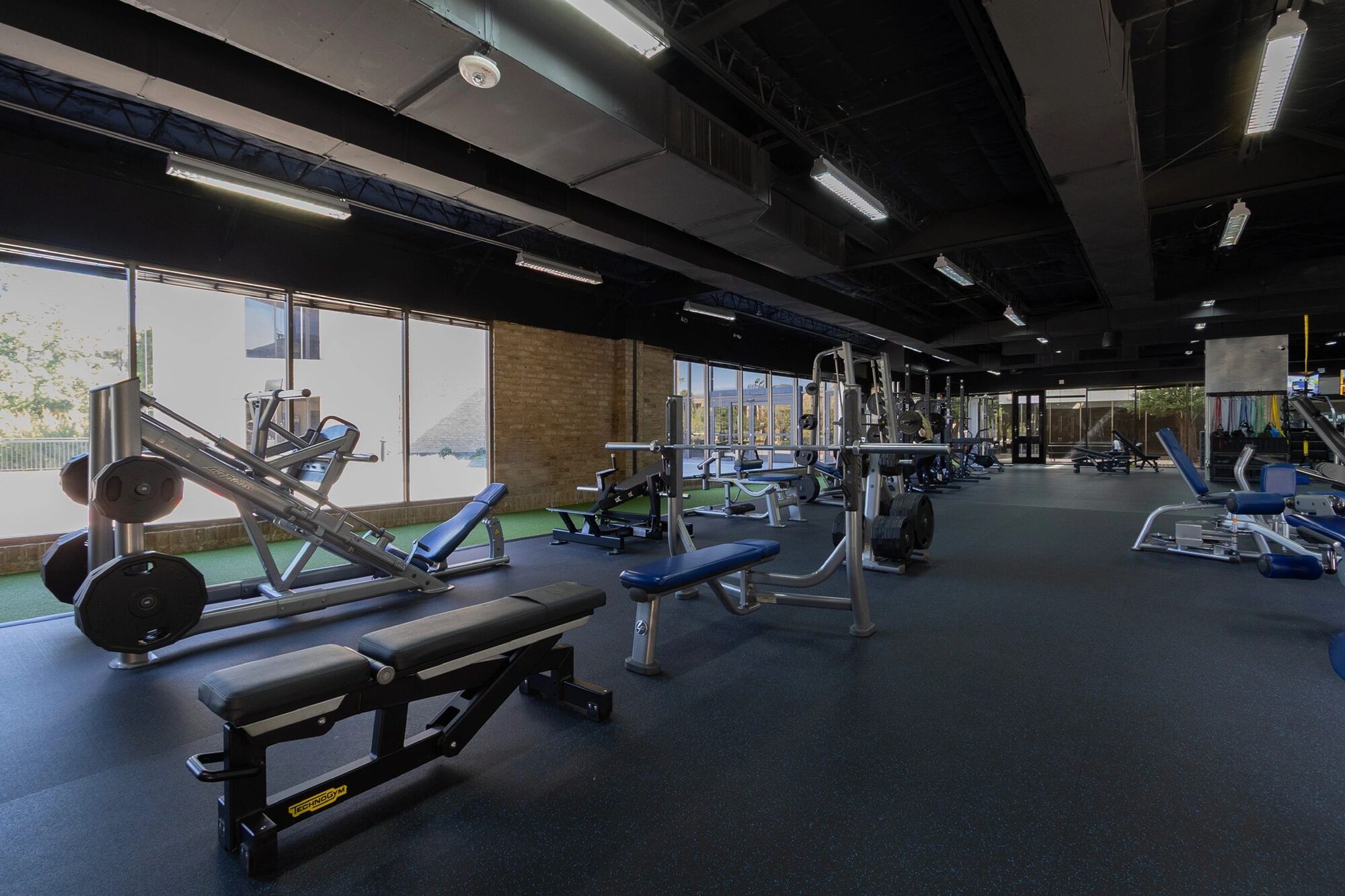 Benches and plate-loaded machines in the window light